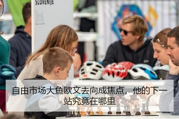 自由市场大鱼欧文去向成焦点，他的下一站究竟在哪里